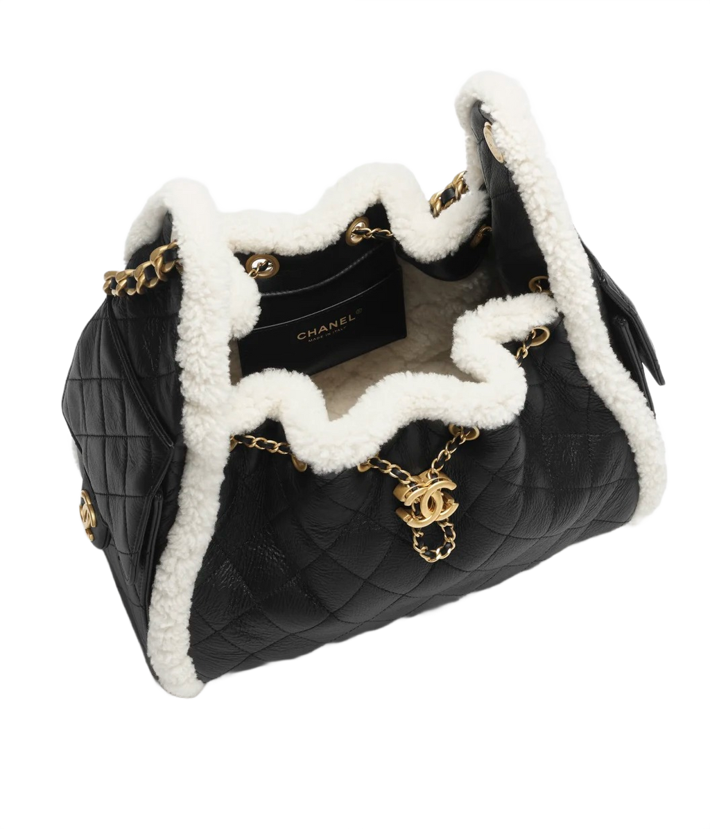 CHANEL 25 Small Handbag