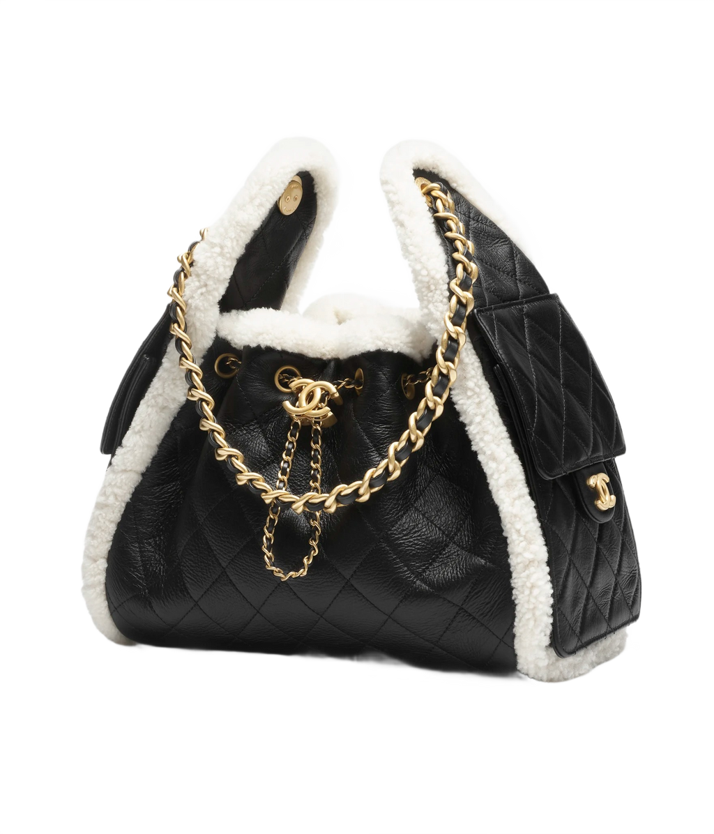CHANEL 25 Small Handbag