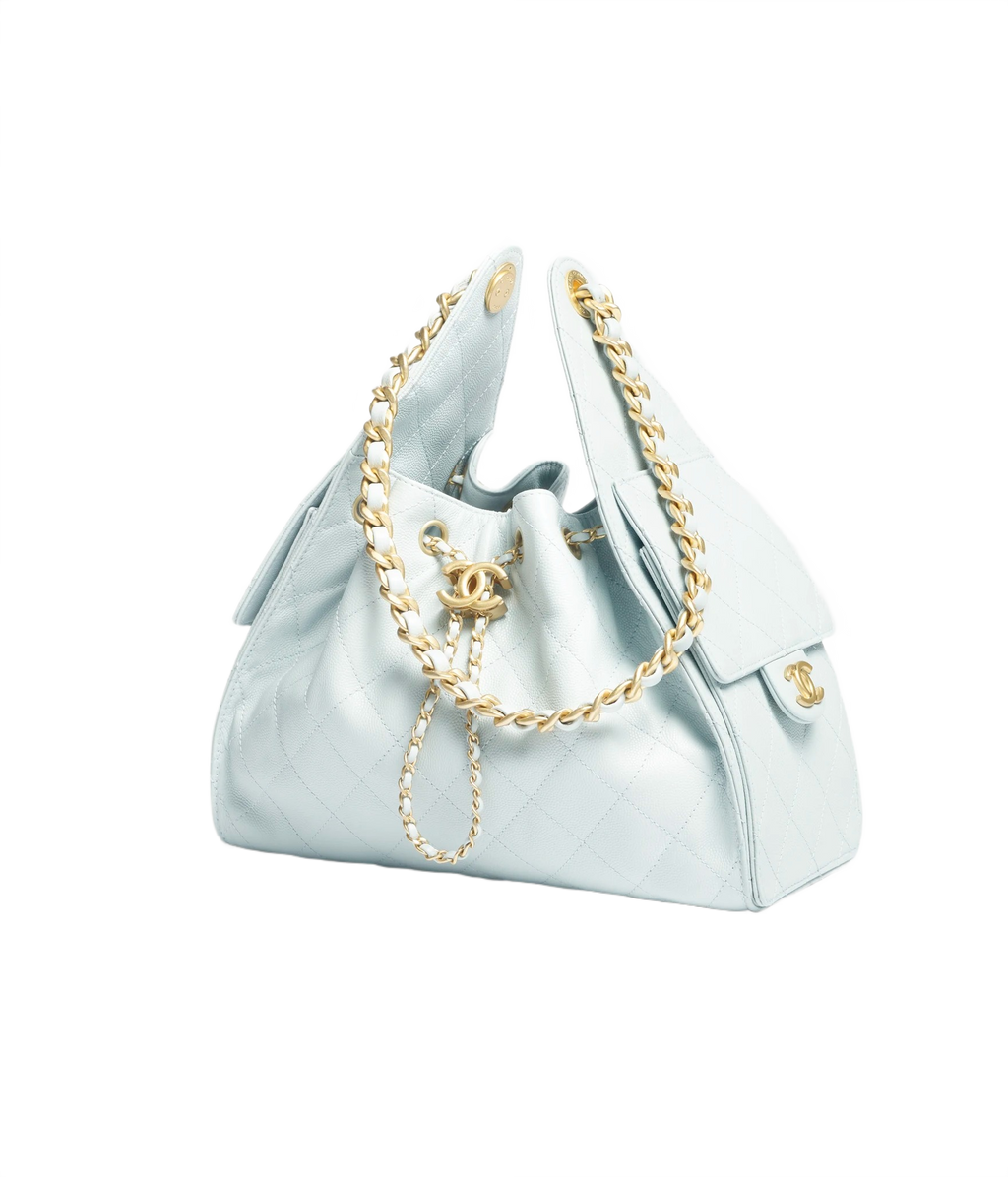 CHANEL 25 Small Handbag