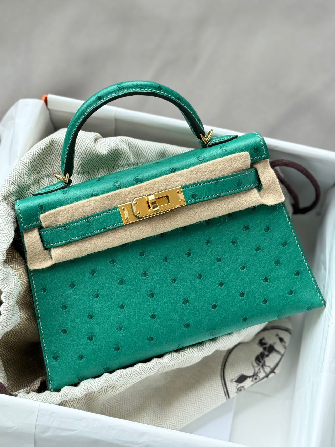Green handbag with gold clasp on a light gray background